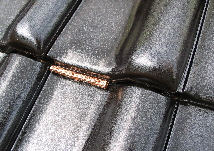 Dach - Reinhalte - Rolle